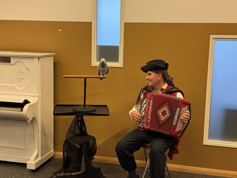 An African grey parrot on a perch with a man playing the Accordion